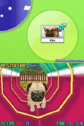 Petz - Dogz Pack (USA) (En,Fr,De,Es,It,Nl,Sv,No,Da) (Rev 1) screen shot game playing